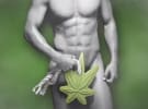 “Suggestive” naked man covered with hemp leaf ad ok
